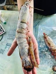 Extra large black tiger prawns, sent live frozen. photo review